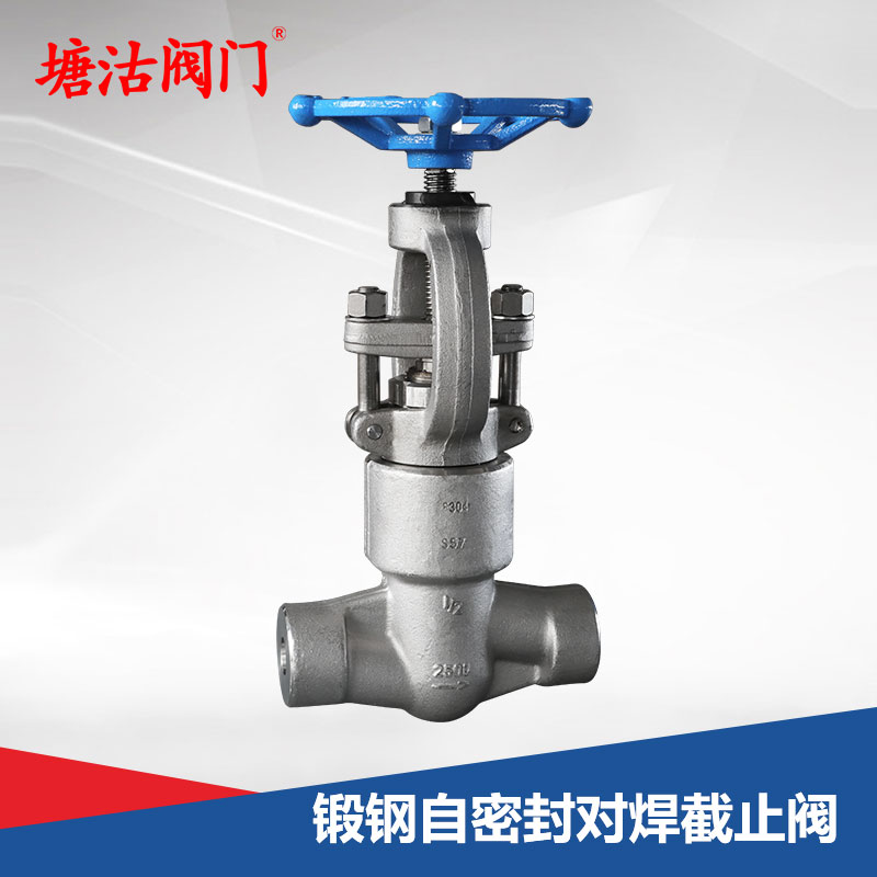 鍛鋼自密封對(duì)焊截止閥